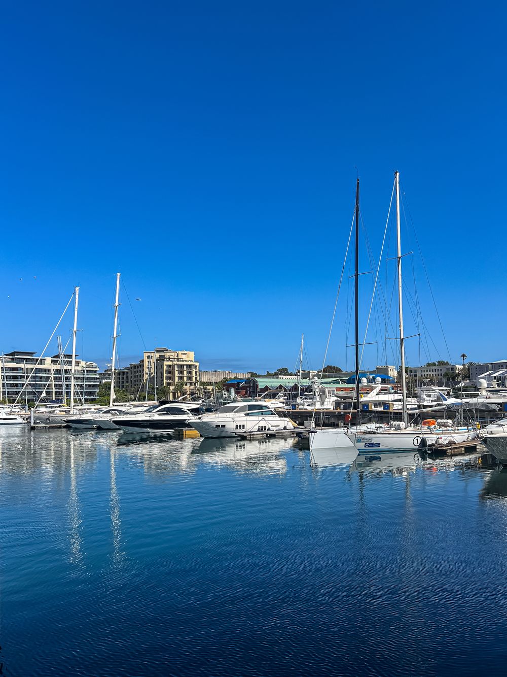 Sailboats in the Coconut Grove marina, Miami