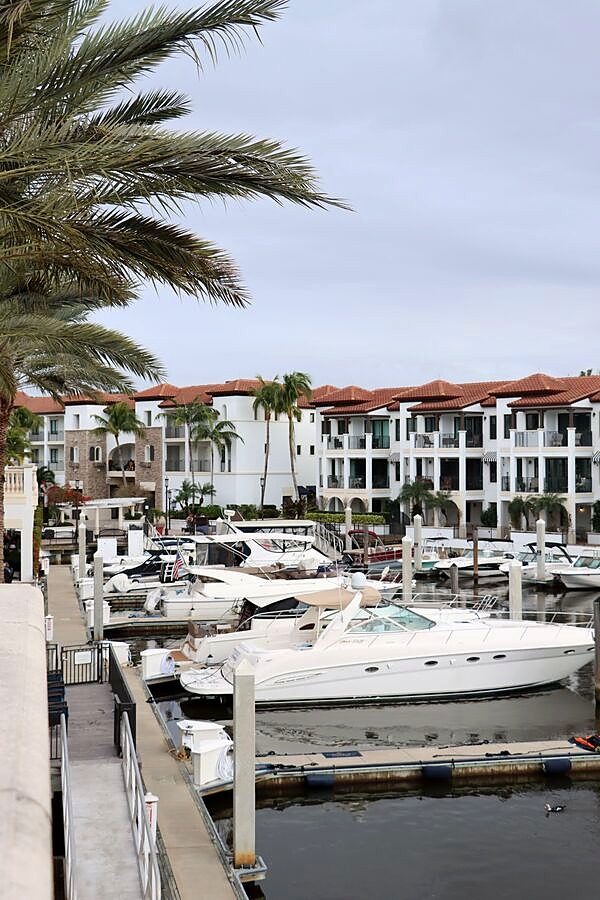 Palmetto Bay
