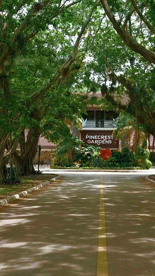 Pinecrest
